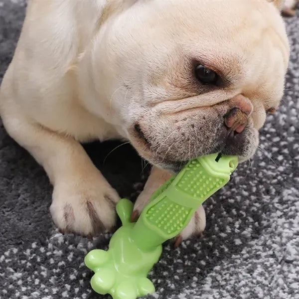 Dog Teeth Cleaning Stick