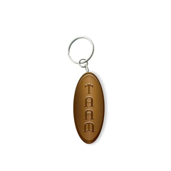 Solid Iron Keychain with Antique Brass Plating