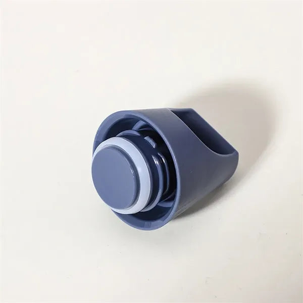 20oz Portable Leakproof Stainless Steel Bottle with Handle
