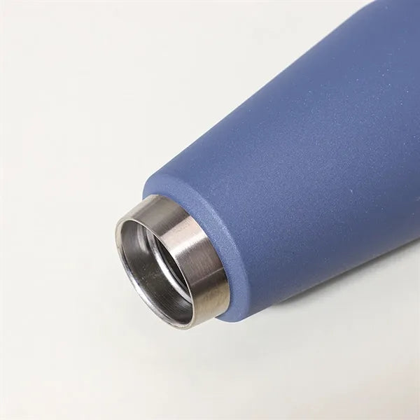 20oz Portable Leakproof Stainless Steel Bottle with Handle