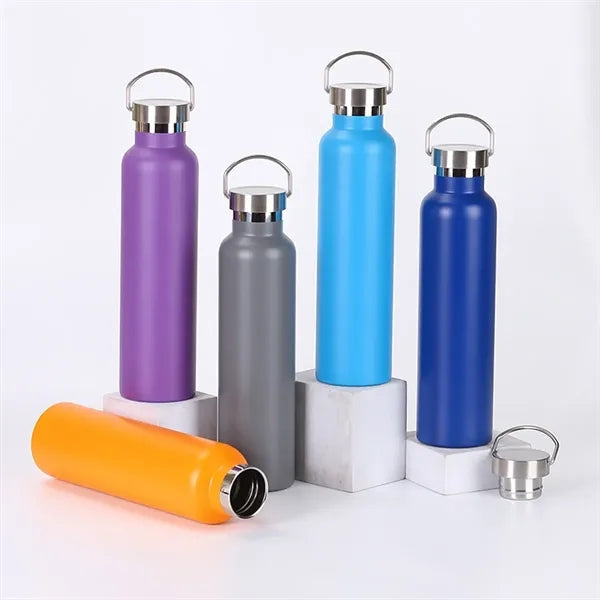 17oz Vacuum Insulated Stainless Steel Water Bottle W/ Handle
