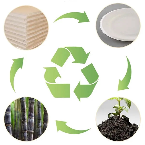 Dining 16oz food safe biodegradable disposable coffee cup