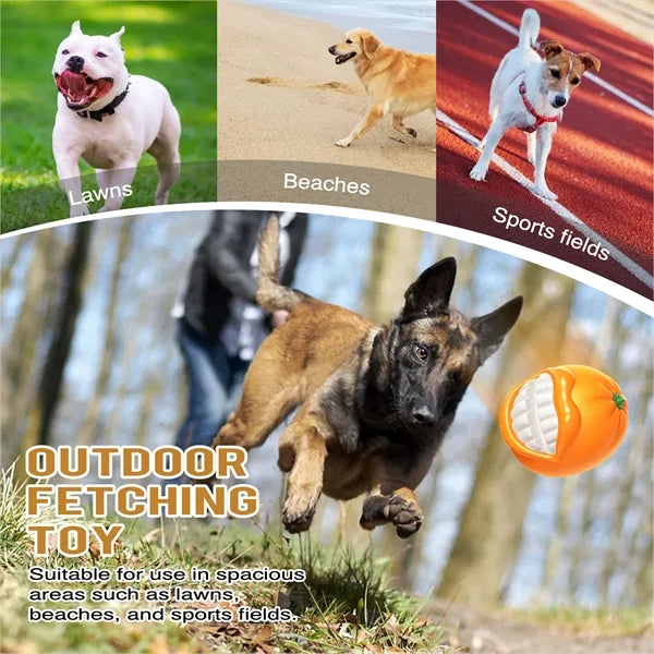 Squeaky Orange Dog Chew Toy For Teeth Cleaning Free Shipping