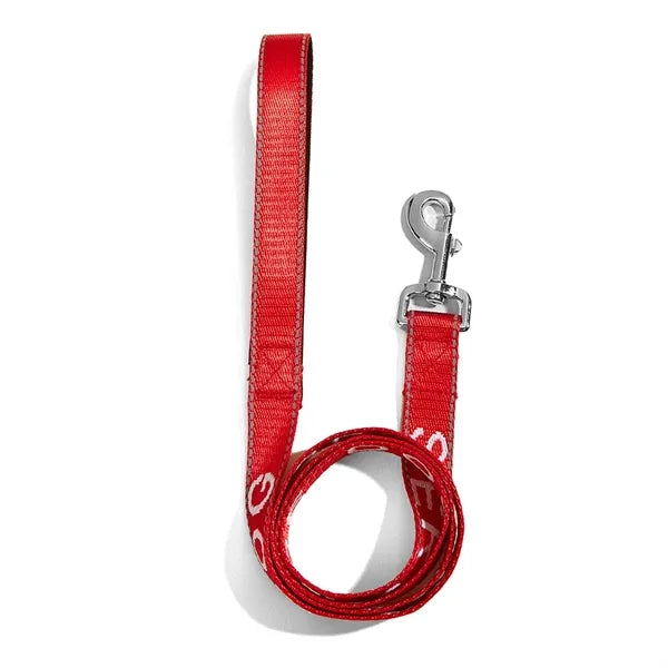 Dog Leash