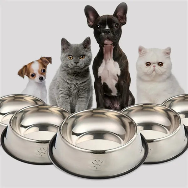 Stainless Steel Pet Feeding Bowl