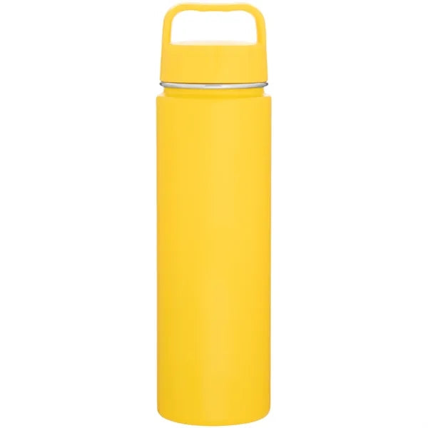 30 oz h2go Crux Single Wall Stainless Bottle with Handle