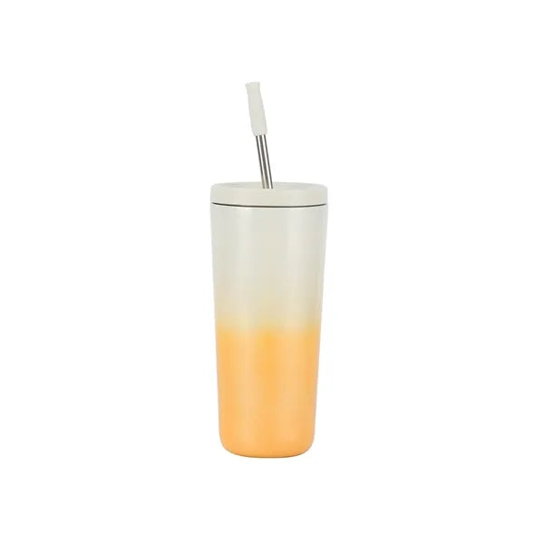Gradient Stainless Steel Tumbler with Straw