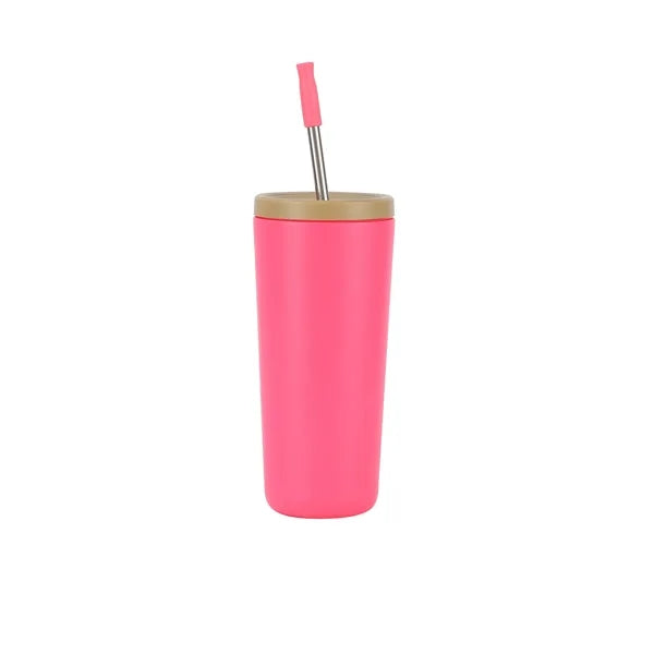 Gradient Stainless Steel Tumbler with Straw