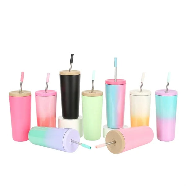 Gradient Stainless Steel Tumbler with Straw