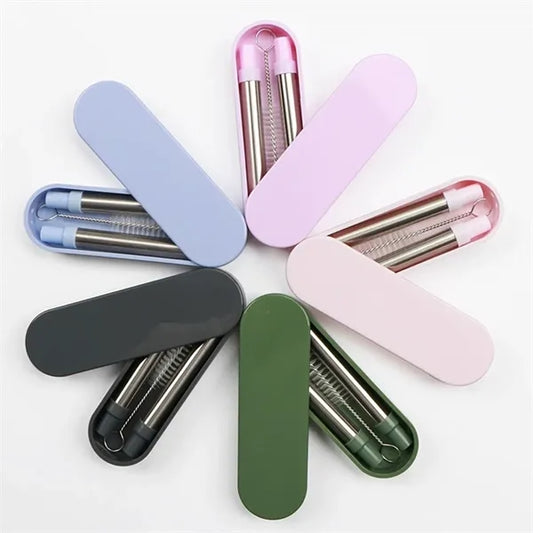 Premium Stainless Steel Straws In Plastic Case