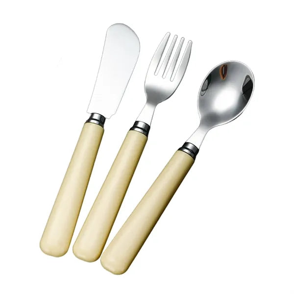 Stainless Steel Cutlery Set With Case