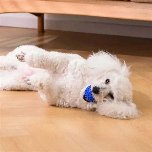 Pet Throwing Sound Toy Ball