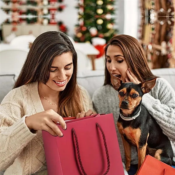 Colorful Spacious Thickened Kraft Paper Handle Gift Bags