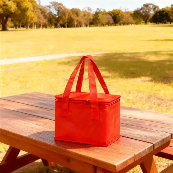 6 Cans Non woven Insulated Cooler Bag w/ Zipper&Handle
