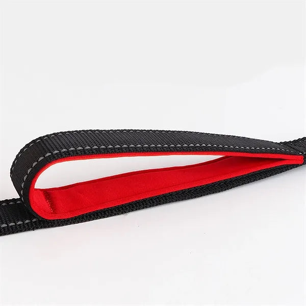 Dog leash