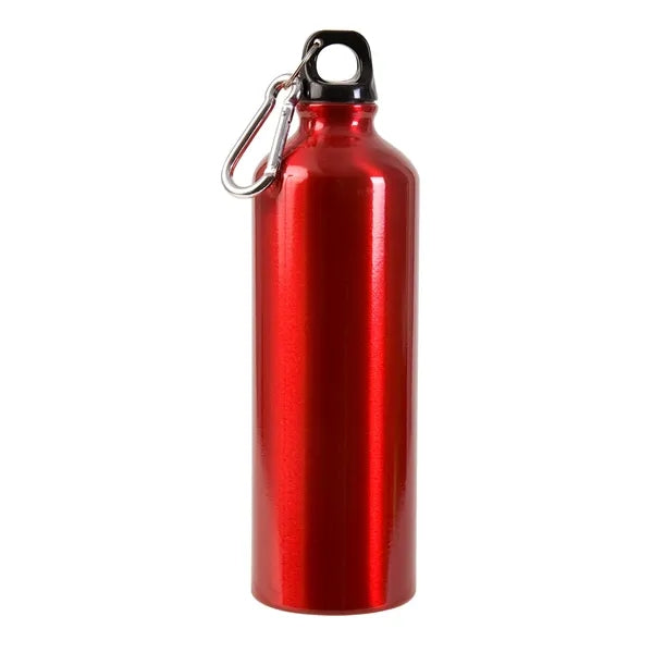 25 oz Aluminum Alpine Sport Bottle