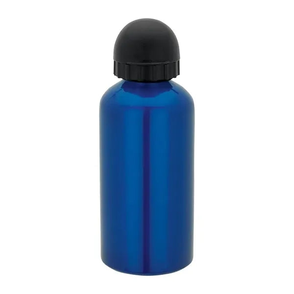 16.9 oz. Domed Flask
