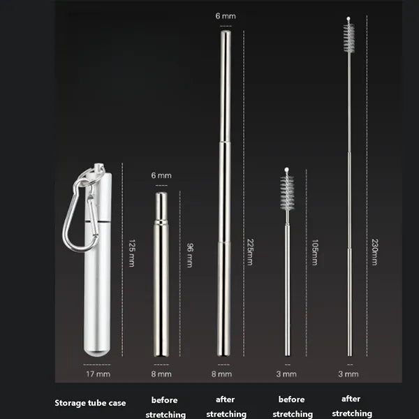 Portable Collapsible Stainless Steel Straw Set