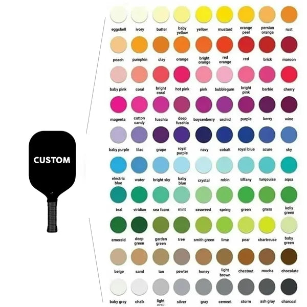 Fiberglass Pickleball Set with 2 Paddles 4 Balls and Bag