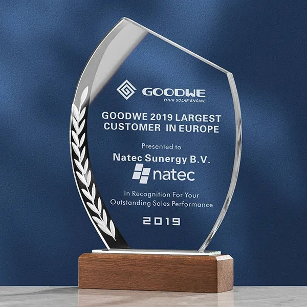 Gifts Souvenirs Glass Crystal Trophy Award