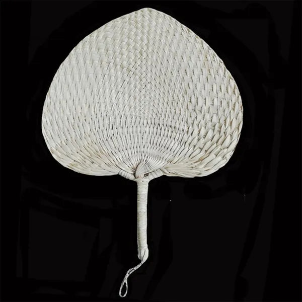 Palm Leaf Fans