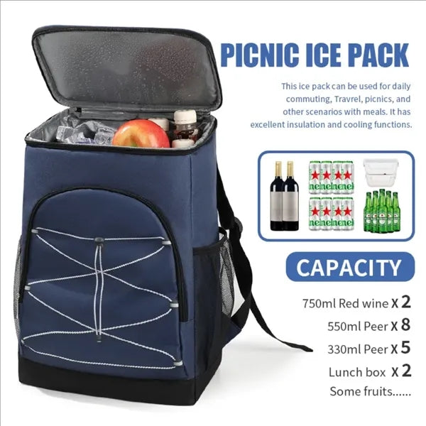 20L Insulated Picnic Backpack
