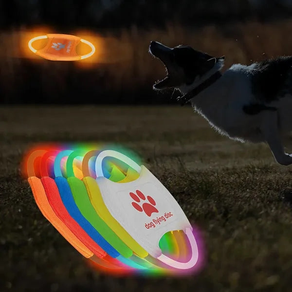 Dog Flying Ring Toys Glow in The Dark