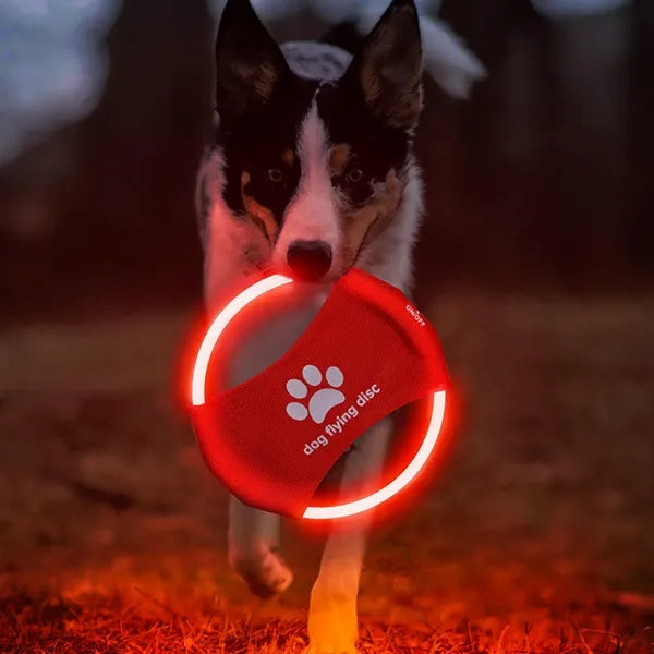 Dog Flying Ring Toys Glow in The Dark