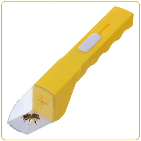 Logo Explorers' Bug Catcher