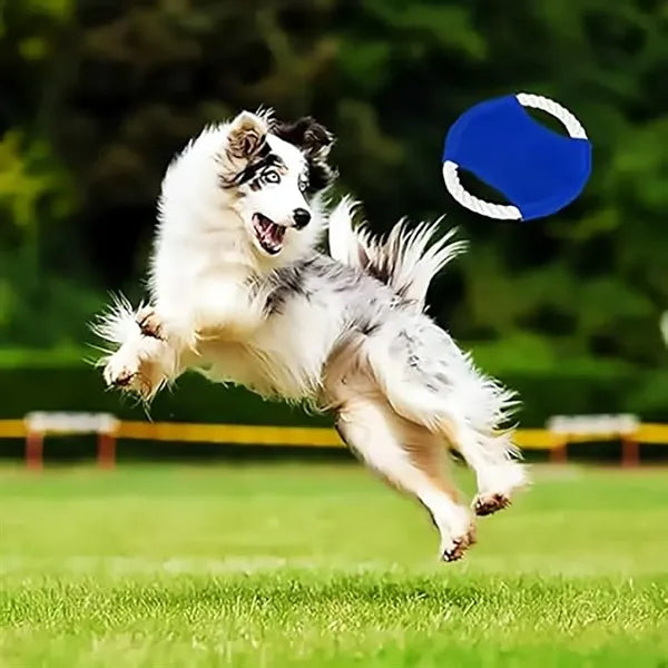 Dog Toys Flying Disc Rope