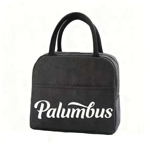 Portable insulated lunch bag