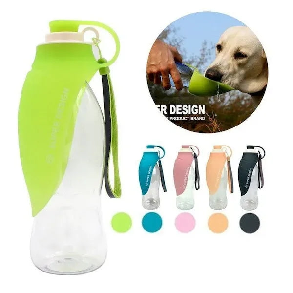 21 Oz. Recycled Pet Water Bottle & Dispensing Bowl