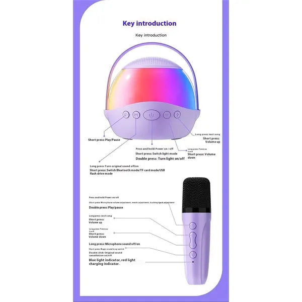 Wireless Bluetooth Karaoke Speaker with Dual Microphones