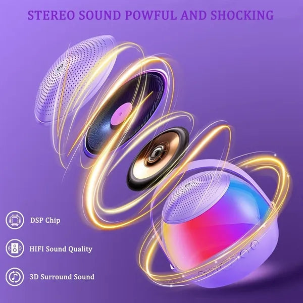 Wireless Bluetooth Karaoke Speaker with Dual Microphones