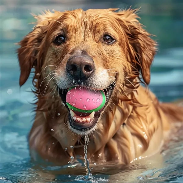 Squeaky 2.55" Bite-Resistant Dog Ball