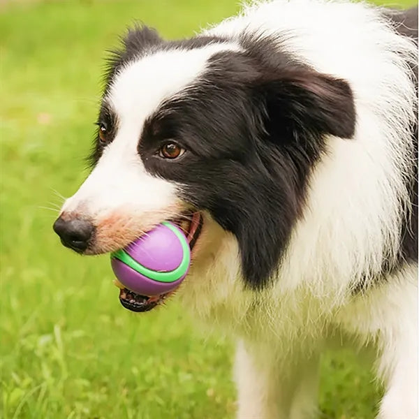 Squeaky 2.55" Bite-Resistant Dog Ball