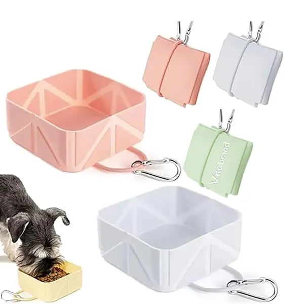 Pets Go Out With Bowls, Cats And Dogs Fold Bowls