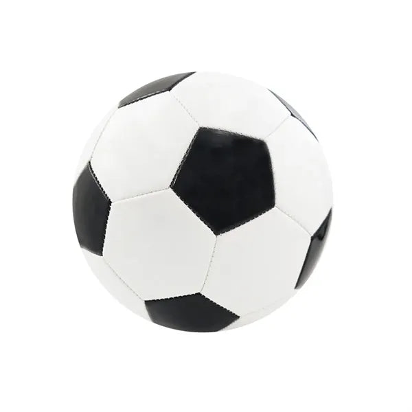 Size 5 Professional Soccer Ball