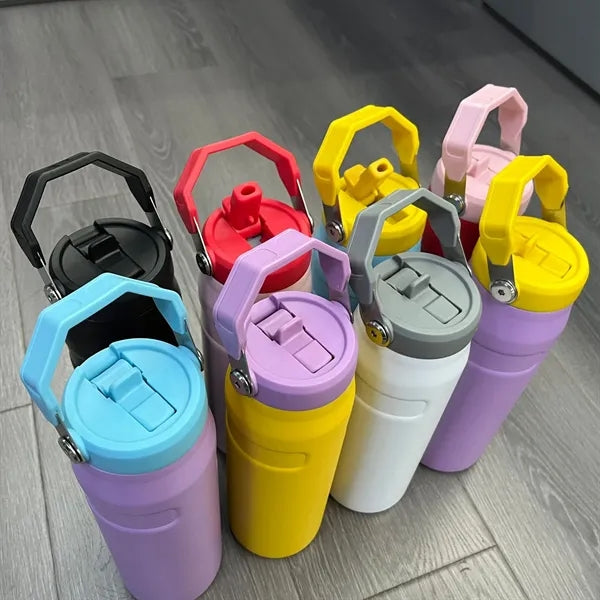 25oz Stainless Steel Insulated Water Bottle