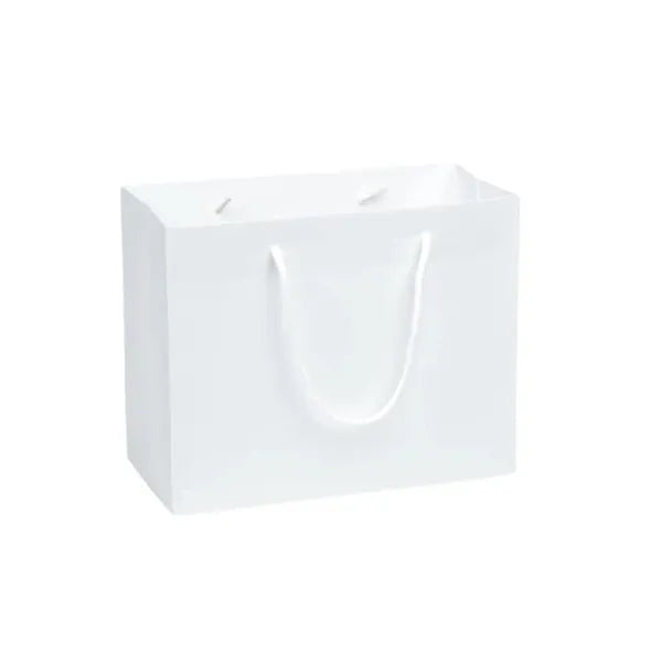 250GSM Custom White Cardboard Bag with Handle