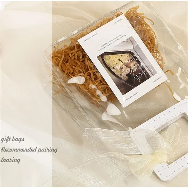 Transparent Plastic Tote Bag