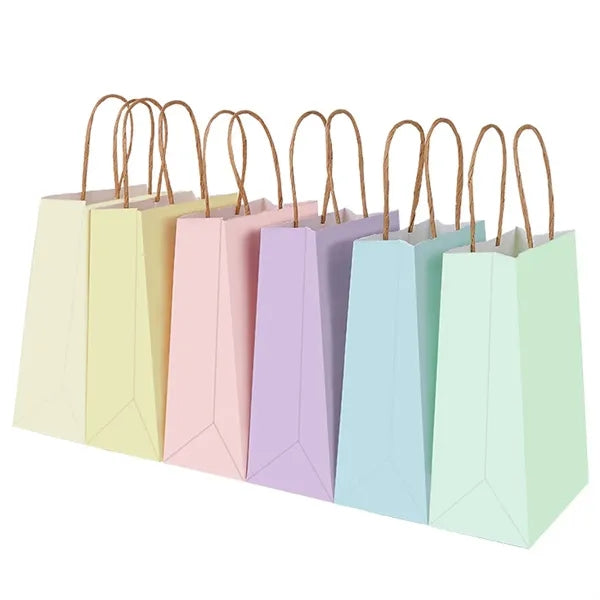 Stylish Premium Kraft Paper Gift Bag with Handles
