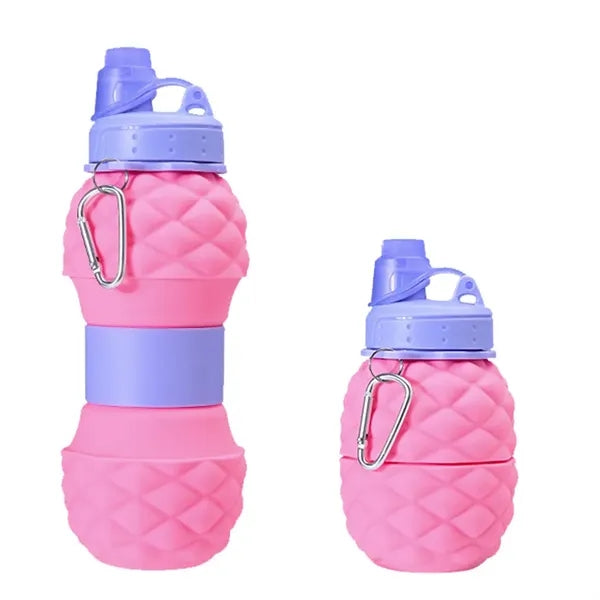 Retractable Foldable Fruit Water Cup