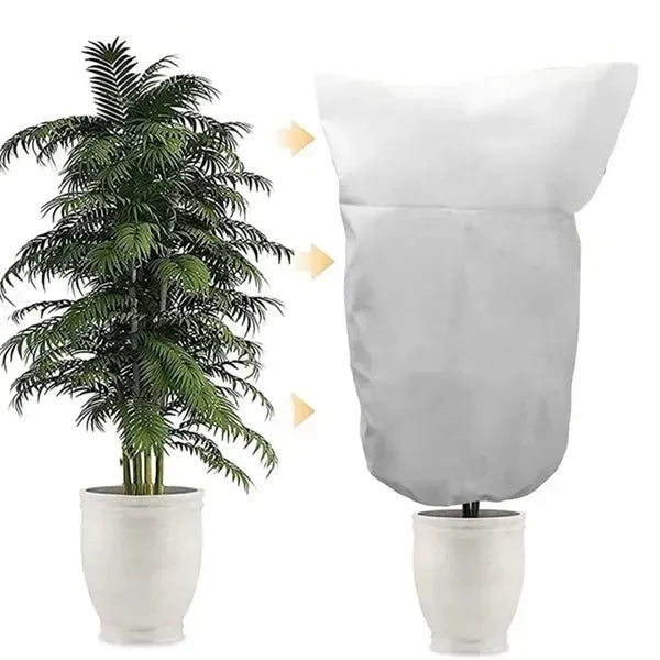 Plant Cover from Sun