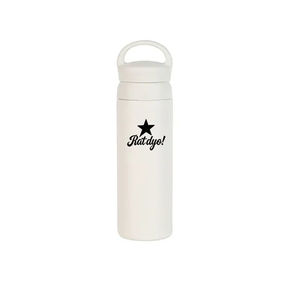 17oz insulated bottle with handle