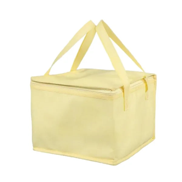 Insulated cake delivery bag