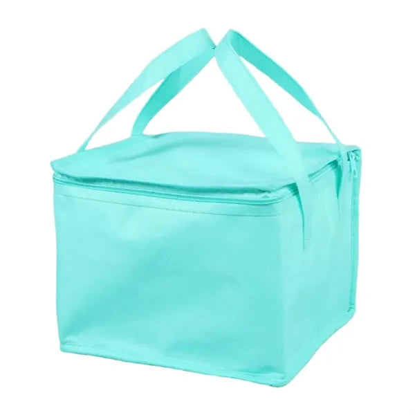 Insulated cake delivery bag