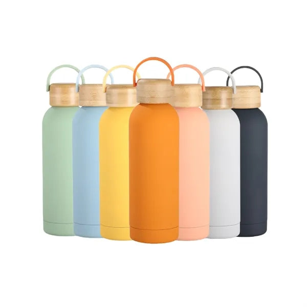17oz Matte Stainless Steel Water Bottle Double Wall
