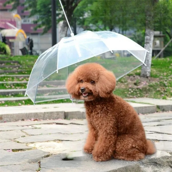 Transparent Dog Umbrella With Leash And Long Handle