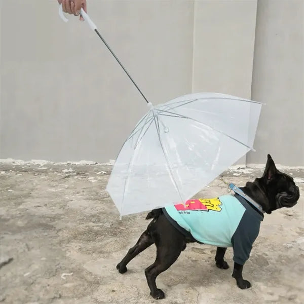 Transparent Dog Umbrella With Leash And Long Handle